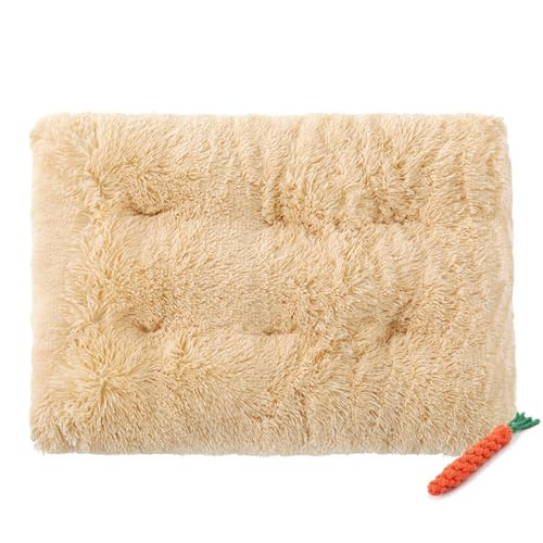 FANSU Hundebett Waschbar Katzenbett Flauschig Hundebetten, Weiche Beruhigende Haustierbett Abnehmbar und Waschbar für Kleine Mittlere oder große Hunde (XS-45X30CM,Beige) von FANSU