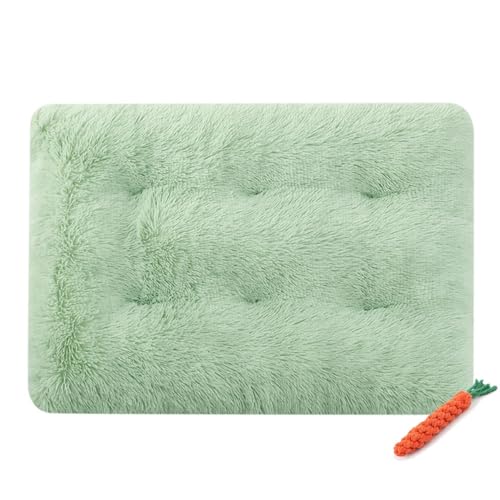 FANSU Hundebett Waschbar Katzenbett Flauschig Hundebetten, Weiche Beruhigende Haustierbett Abnehmbar und Waschbar für Kleine Mittlere oder große Hunde (XS-45X30CM,Salbei Grün) von FANSU