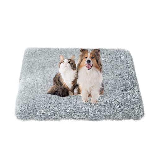 FANSU Hundebett Waschbar Katzenbett Flauschig Hundebetten Weiche Beruhigende Haustierbett Abnehmbar und Waschbar für Kleine Mittlere oder große Hunde (100X75X10CM,Hellgrau) von FANSU