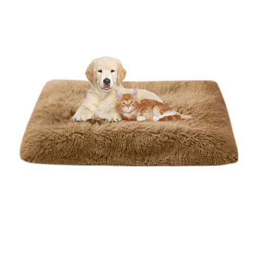 FANSU Hundebett Waschbar Katzenbett Flauschig Hundebetten Weiche Beruhigende Haustierbett Abnehmbar und Waschbar für Kleine Mittlere oder große Hunde (s-53x38cm,Helles Curry) von FANSU