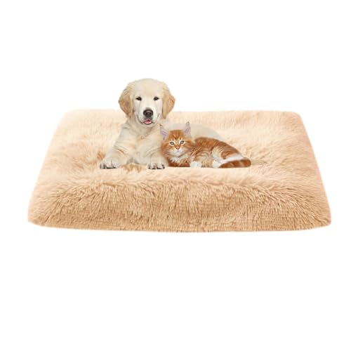 FANSU Hundebett Waschbar Katzenbett Flauschig Hundebetten Weiche Beruhigende Haustierbett Abnehmbar und Waschbar für Kleine Mittlere oder große Hunde (xl-93x65cm,Helles Apricot) von FANSU