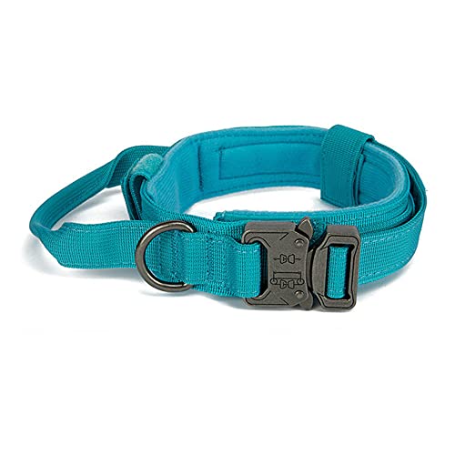 FANSU Hundehalsband Verstellbares, Weich & Komfort Atmungsaktives Nylon Hunde Halsband für Mädchen oder Jungen für Kleine Mittlere Große Hunde Welpen Katzen (blau,L) von FANSU