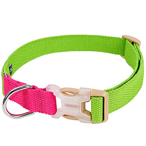 FANSU Hundehalsband Verstellbares, Weich & Komfort Atmungsaktives Nylon Hunde Halsband für Mädchen oder Jungen für Kleine Mittlere Große Hunde Welpen Katzen (grüne Rose,L) von FANSU