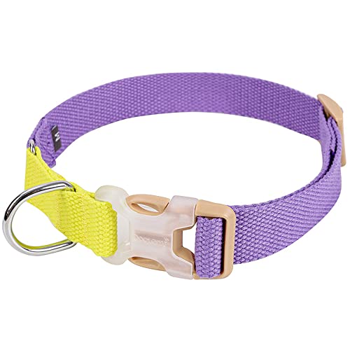 FANSU Hundehalsband Verstellbares, Weich & Komfort Atmungsaktives Nylon Hunde Halsband für Mädchen oder Jungen für Kleine Mittlere Große Hunde Welpen Katzen (lila gelb,M) von FANSU
