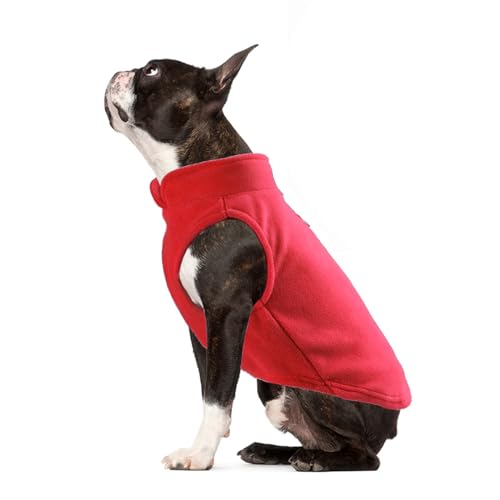 FANSU Hundemantel Winter Reine Farbe, Warme Hundejacke Wasserdic Herbst Haustier Jacken Mit Reflektierend für Kleine Hunde Mittlere Hunde Große Hunde (M,Rot) von FANSU