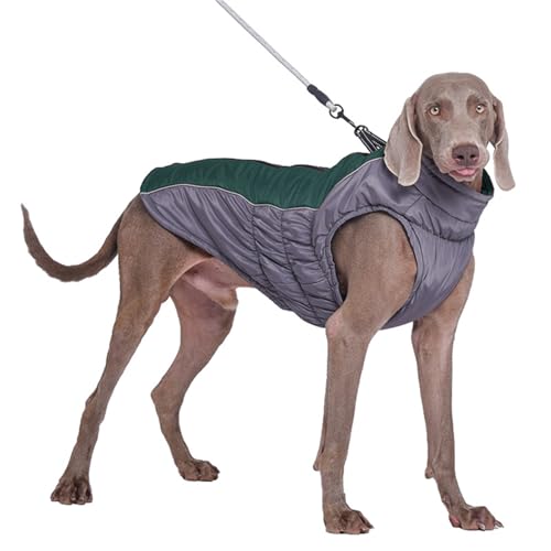 FANSU Hundemantel Winter Wasserdicht, Warme Hundejacke Wasserdic Haustier Jacken Mit Reflektierend für Kleine Hunde Mittlere Hunde Große Hunde (M,Dunkelgrün) von FANSU