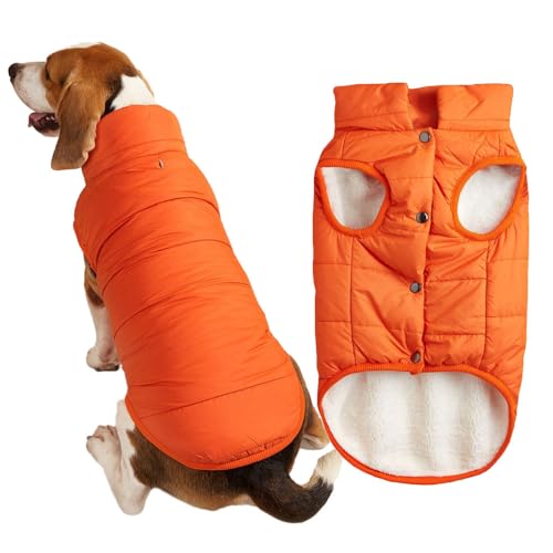 FANSU Hundemantel Winter Wasserdicht, Warme Hundejacke Wasserdicht Herbst Haustier Jacken Wattierte Kleidung für Kleine Hunde Mittlere Hunde Große Hunde (S,Orange) von FANSU