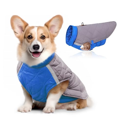 FANSU Hundemantel Winter Wasserdicht Reflektor, Warme Hundejacke Wasserdicht Herbst Haustier Jacken Wattierte Kleidung für Kleine Hunde Mittlere Hunde Große Hunde (2XL,Blau) von FANSU