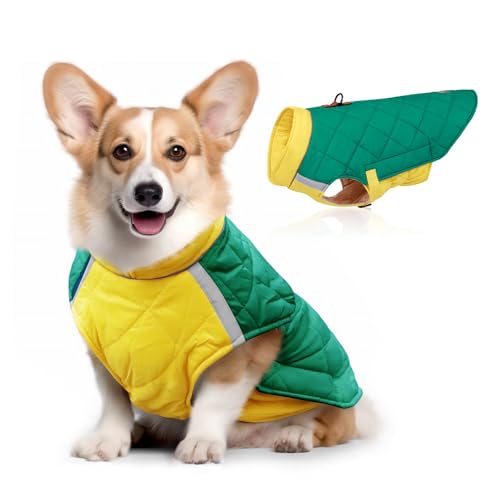 FANSU Hundemantel Winter Wasserdicht Reflektor, Warme Hundejacke Wasserdicht Herbst Haustier Jacken Wattierte Kleidung für Kleine Hunde Mittlere Hunde Große Hunde (2XL,Grün) von FANSU