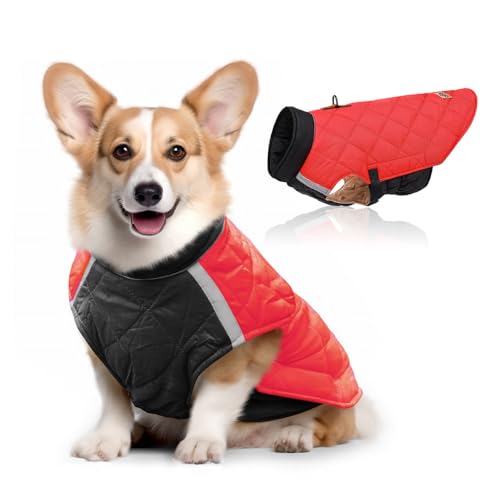 FANSU Hundemantel Winter Wasserdicht Reflektor, Warme Hundejacke Wasserdicht Herbst Haustier Jacken Wattierte Kleidung für Kleine Hunde Mittlere Hunde Große Hunde (2XL,Rot) von FANSU