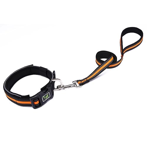 FANSWAN Halsband für Haustiere, Katzen, Hunde, mit reflektierendem Seil, verstellbarer Halsband, leuchtende Schnallen, Haustierprodukte FANSWAN Halsband für Haustiere, Katzen, Hunde, mit reflektierendem Seil, verstellbarer Halsband, leuchtende Schnallen, Haustierprodukte von FANSWAN