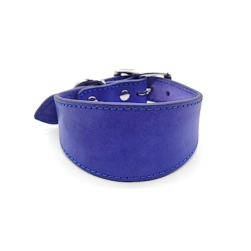 FANSWAN Leder-Hundehalsband, weich gepolstert, für Whippets, Salukis, Windhunde, verstellbares Halsband für große Rassen FANSWAN Leder-Hundehalsband, weich gepolstert, für Whippets, Salukis, Windhunde, verstellbares Halsband für große Rassen von FANSWAN