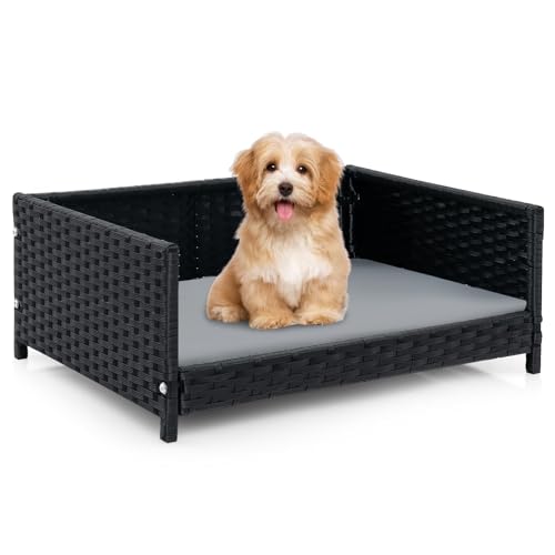 FANTASK Hundecouch für kleine/mittelgroße Hunde, erhöhtes Hundesofa aus PE-Rattan mit abnehmbarem Kissen & waschbarem Bezug, aus PE-Rattan, 62x46x25cm FANTASK Hundecouch für kleine/mittelgroße Hunde, erhöhtes Hundesofa aus PE-Rattan mit abnehmbarem Kissen & waschbarem Bezug, aus PE-Rattan, 62x46x25cm von FANTASK