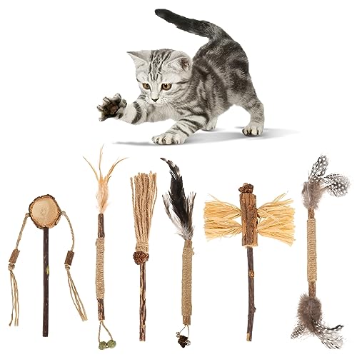FANTESI 6 Stück Katzenminze Sticks, Silvervine Kaustäbchen Katzen, Natürliche Katzenminze Spielzeug, Katzenstäbchen für ​Katze zu Spielen, Beißen, Kauen von FANTESI