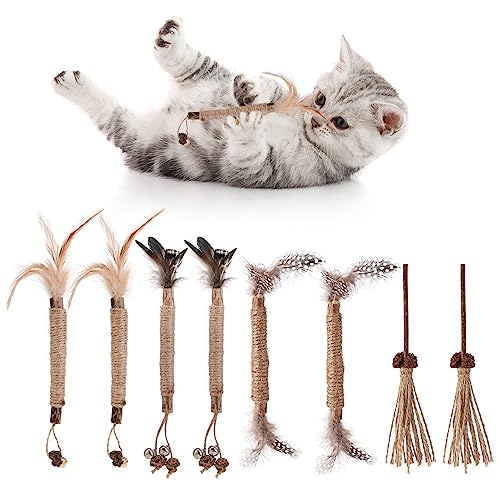 FANTESI 8 Stück Katzenminze Sticks,Katzensticks Zur Zahnreinigung,Katzenminze Spielzeug Kausticks Set, Katzen Kauhölzer Sticks für Katzen Zahnpflege Gegen Mundgeruch Spielen Beißen Kauen FANTESI 8 Stück Katzenminze Sticks,Katzensticks Zur Zahnreinigung,Katzenminze Spielzeug Kausticks Set, Katzen Kauhölzer Sticks für Katzen Zahnpflege Gegen Mundgeruch Spielen Beißen Kauen von FANTESI