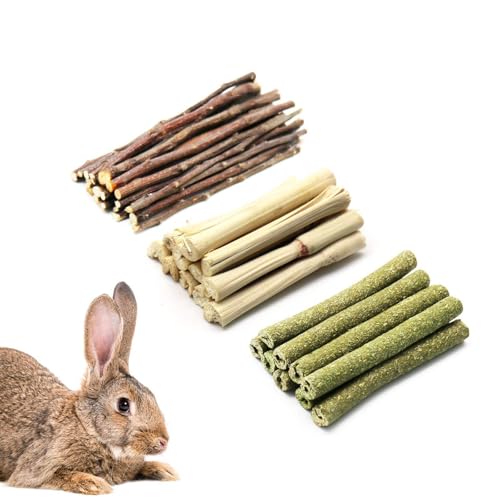 FANWINKJ 320g Kaninchen Hamster Kauspielzeug, Apfel Sticks Natural Grass Balls Natural Rose Balls Kaninchen Hamster Papagei Chinchilla Meerschweinchen Gerbil Beißspielzeug (3PCS) von FANWINKJ