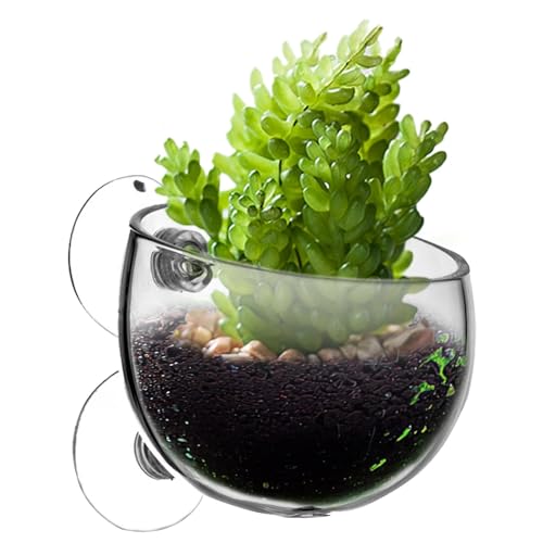 Aquarium-Becher, Wasserpflanzentopf, Wasserpflanzentopf mit starkem Saugnapf, ökologische Aquarium-Modellierung von FASSME