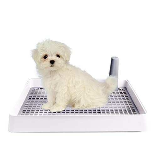 Hunde-Töpfchentoilette, Haustier-Trainings-Toilette, für Hunde und Töpfchentraining, für kleine und mittelgroße Hunde Hunde-Töpfchentoilette, Haustier-Trainings-Toilette, für Hunde und Töpfchentraining, für kleine und mittelgroße Hunde von FASSME