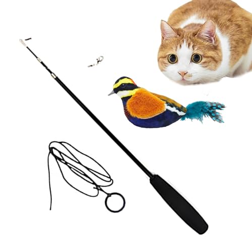 FASSME Katzen-Teasing-Stab – Vogel-Design, Zauberstab, Federspielzeug, wiederverwendbarer Katzen-Teaser-Zauberstab, Indoor-Katzenfeder-Spielzeug für Kätzchen und Welpen von FASSME