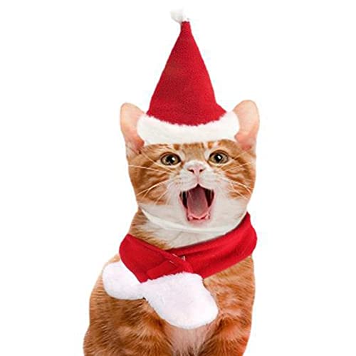 FASSME Weihnachtsmütze mit Schal, Haustierkostü für Halloween, Katze, kleine Hunde, Weihnachtsmütze, Outfit – Weihnachts-Set, Geburtstagsmütze, St. Patricks Set für Welpen, Katzen von FASSME