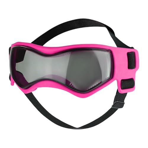Haustier-Sonnenbrille für Hunde, UV-Schutzbrille für Hunde,UV-Schutz-Haustierbrille | PC Lenses Hunde-Augenschutz-Tool für Partys, Alltagsaktivitäten, Reisen, Fotos Haustier-Sonnenbrille für Hunde, UV-Schutzbrille für Hunde,UV-Schutz-Haustierbrille | PC Lenses Hunde-Augenschutz-Tool für Partys, Alltagsaktivitäten, Reisen, Fotos von FASSME