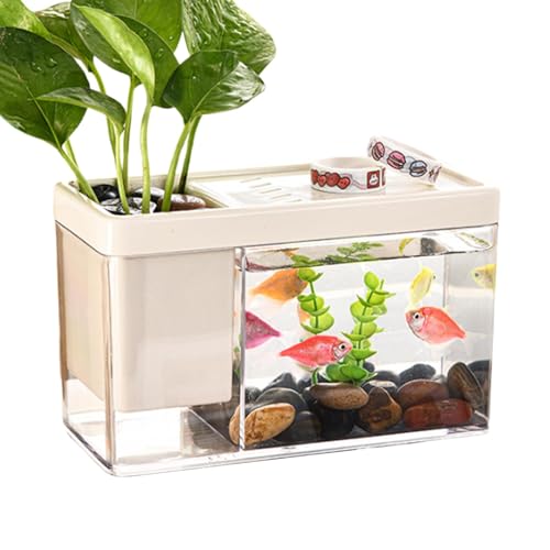 Kleines Aquarium, kleines Aquarium - Transparentes kleines Betta-Aquarium | Betta-Aquarium-Desktop-Fischschalen-Organizer für Garnelen-, Betta- und kleine Krabbenlebensräume von FASSME