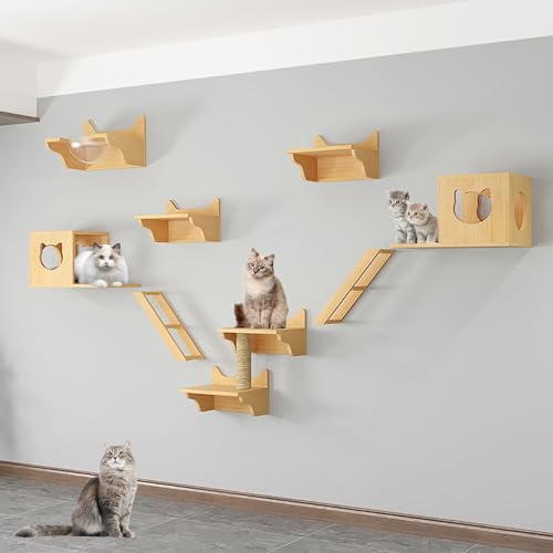 FATACO Kletterwand Katzen Ecke, Katzenregale und Sitzstangen für Die Wand, mit Kratzbaum, Katzensitzstange, Katzenkratzer, Katzenbrücke und Katzenhütte (Size : B5-10PCS) von FATACO