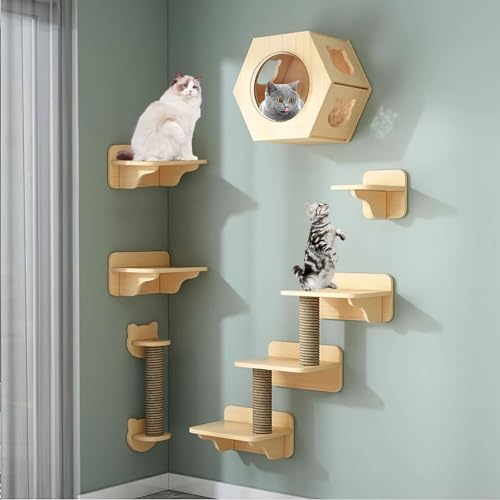 Kletterwand Katzen, Katzentreppe Wand Set, Inklusive Katzenhaus, Katzenwandstufen, Katzenkratzer, Kann Frei Kombiniert Werden (Size : B5-10PCS) von FATACO