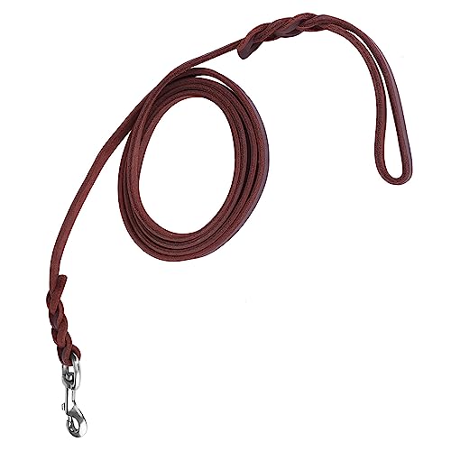 Lederhund -Leine, Dtrainingog -Blei -Leinenseil für Kleine Mittelgroße Hunde geflochten (Material länge 2 Meter 5 Netto länge ca. 2 Meter) von FAUOSWUK