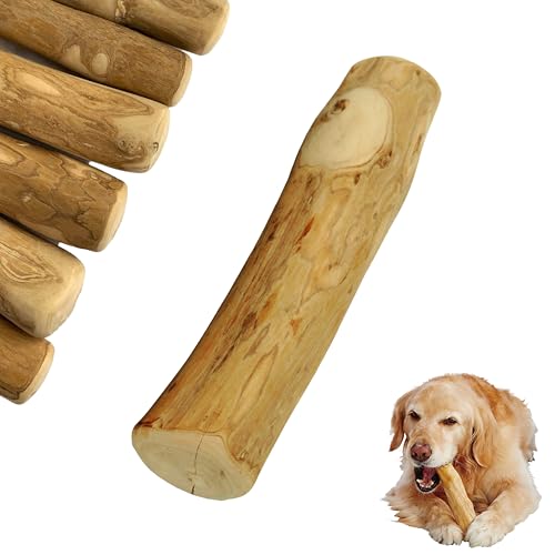 FAVPET Kaffeeholz Hundekau Stick, Langlebiges Kauspielzeug für Hunde aus 100% Natürlichem Kaffeebaum, Zahnpflege, Hypoallergenes Kauspielzeug, Kau Sticks für Hunde und Welpen M (1 Stück) von FAVPET