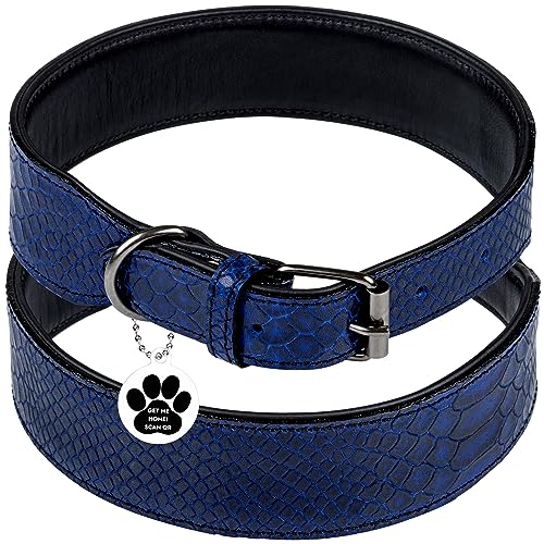 FAVPET Klassische Lederhalsband Hund mit QR Code Anhänger, Gepolstertes Hundehalsband Kleine Hunde, Halsband Hund Grosse Hunde, Welpen Halsbänder, Breites Hundehalsband Leder (Blau, L) von FAVPET