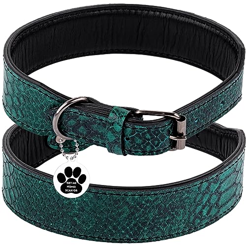 FAVPET Klassische Lederhalsband Hund mit QR Code Anhänger, Gepolstertes Hundehalsband Kleine Hunde, Halsband Hund Grosse Hunde, Welpen Halsbänder, Breites Hundehalsband Leder (Grün, M) von FAVPET