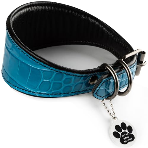FAVPET Luxus Echtleder Windhund Halsband Breit mit QR Code Anhänger, Weiches Lederhalsband Hund Breit Whippet Italienisches Windspiel Saluki Lurcher Spanischer Galgo Greyhound Podenco (Blau, XS) von FAVPET