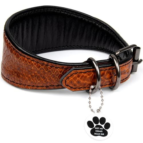 FAVPET Luxus Echtleder Windhund Halsband Breit mit QR Code Anhänger, Weiches Lederhalsband Hund Breit Whippet Italienisches Windspiel Saluki Lurcher Spanischer Galgo Greyhound Podenco (Braun, M) von FAVPET