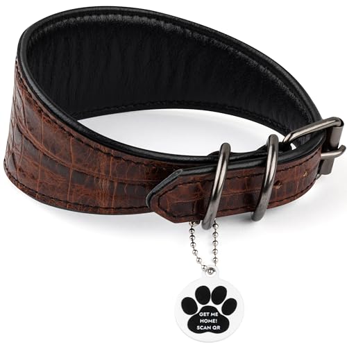 FAVPET Luxus Echtleder Windhund Halsband Breit mit QR Code Anhänger, Weiches Lederhalsband Hund Breit Whippet Italienisches Windspiel Saluki Lurcher Spanischer Galgo Greyhound Podenco (Braun, S) von FAVPET