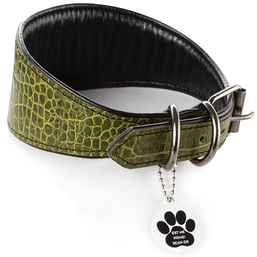 FAVPET Luxus Echtleder Windhund Halsband Breit mit QR Code Anhänger, Weiches Lederhalsband Hund Breit Whippet Italienisches Windspiel Saluki Lurcher Spanischer Galgo Greyhound Podenco (Grün, L) von FAVPET