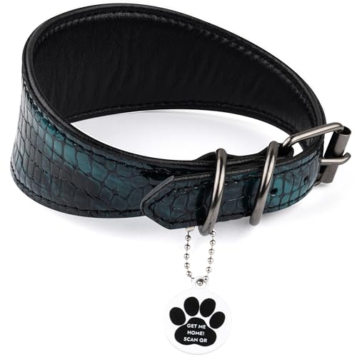 FAVPET Luxus Echtleder Windhund Halsband Breit mit QR Code Anhänger, Weiches Lederhalsband Hund Breit Whippet Italienisches Windspiel Saluki Lurcher Spanischer Galgo Greyhound Podenco (Grün, XS) von FAVPET