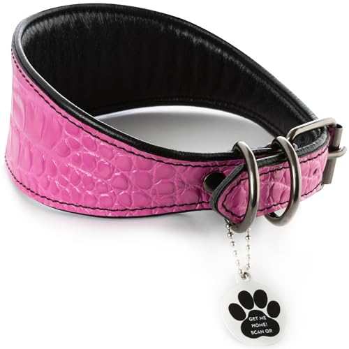 FAVPET Luxus Echtleder Windhund Halsband Breit mit QR Code Anhänger, Weiches Lederhalsband Hund Breit Whippet Italienisches Windspiel Saluki Lurcher Spanischer Galgo Greyhound Podenco (Rosa, M) von FAVPET