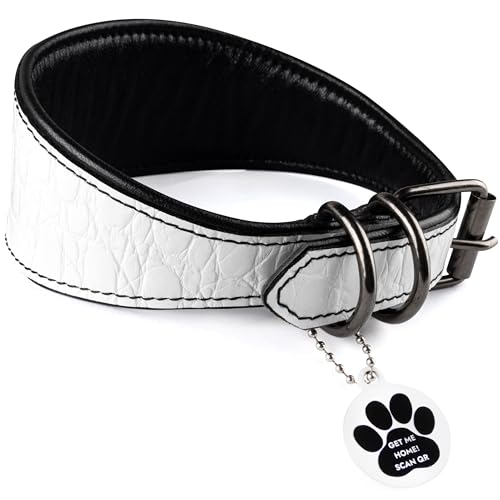 FAVPET Luxus Echtleder Windhund Halsband Breit mit QR Code Anhänger, Weiches Lederhalsband Hund Breit Whippet Italienisches Windspiel Saluki Lurcher Spanischer Galgo Greyhound Podenco (Weiß, L) von FAVPET