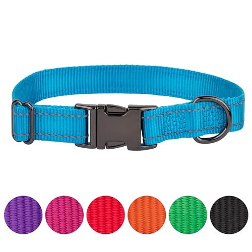 FAVPET Reflektierendes Hundehalsband Nylon, Reflektor Hund Halsband Verstellbar, Halsband Hund Klickverschluss, Halsband Hund Grosse Hunde, Hundehalsband Kleine Hunde, Welpen Halsbänder (Blau, M) von FAVPET