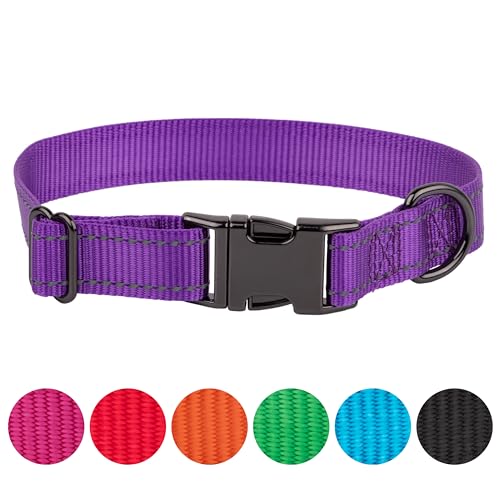 FAVPET Reflektierendes Hundehalsband Nylon, Reflektor Hund Halsband Verstellbar, Halsband Hund Klickverschluss, Halsband Hund Grosse Hunde, Hundehalsband Kleine Hunde, Welpen Halsbänder (Lila, S) von FAVPET