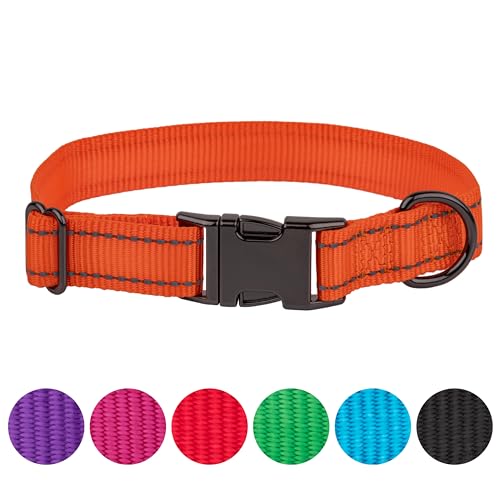 FAVPET Reflektierendes Hundehalsband Nylon, Reflektor Hund Halsband Verstellbar, Halsband Hund Klickverschluss, Halsband Hund Grosse Hunde, Hundehalsband Kleine Hunde, Welpen Halsbänder (Orange, XS) von FAVPET