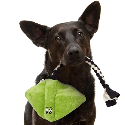 FAVPET Plüsch Hunde Spielzeug Rochen, Robustes Hundespielzeug Quietschend Große und Kleine Hunde, Quietschendes Spielzeug Plüschtier, Lustiges Hundespielzeug Welpen Plüsch (Grün) von FAVPET