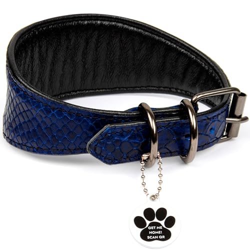 FAVPET Luxus Echtleder Windhund Halsband Breit mit QR Code Anhänger, Weiches Lederhalsband Hund Breit Whippet Italienisches Windspiel Saluki Lurcher Spanischer Galgo Greyhound Podenco (Blau, M) von FAVPET