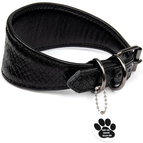 FAVPET Luxus Echtleder Windhund Halsband Breit mit QR Code Anhänger, Weiches Lederhalsband Hund Breit Whippet Italienisches Windspiel Saluki Lurcher Spanischer Galgo Greyhound Podenco (Schwarz, M) von FAVPET