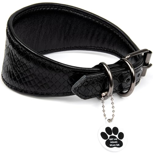 FAVPET Windhund Breites Lederhalsband Hund mit QR Code Anhänger und NEUEN verdickten Metall-D-Ringen für Whippet Windspiel Saluki Borzoi Lurcher Galgo Azawak, Weiches Hundehalsband Leder (Schwarz, M) von FAVPET