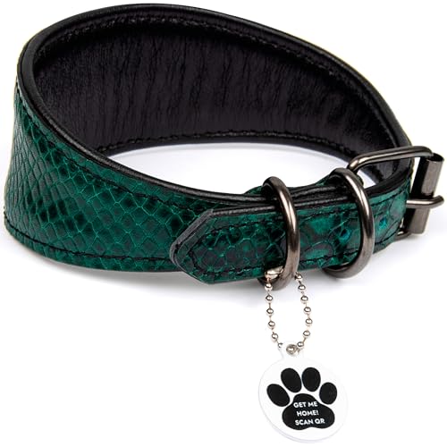 FAVPET Windhund Breites Lederhalsband Hund mit QR Code Anhänger und NEUEN verdickten Metall-D-Ringen für Whippet Windspiel Saluki Borzoi Lurcher Galgo Azawak, Weiches Hundehalsband Leder (Grün, S) von FAVPET