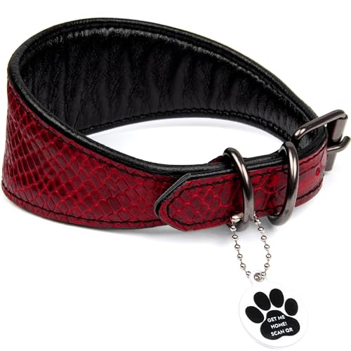 FAVPET Luxus Echtleder Windhund Halsband Breit mit QR Code Anhänger, Weiches Lederhalsband Hund Breit Whippet Italienisches Windspiel Saluki Lurcher Spanischer Galgo Greyhound Podenco (Rot, M) von FAVPET
