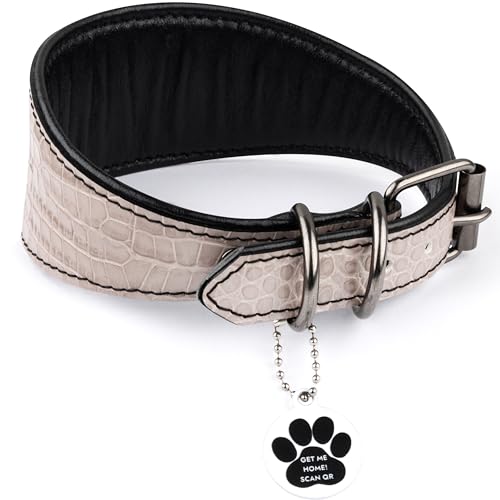 FAVPET Luxus Echtleder Windhund Halsband Breit mit QR Code Anhänger, Weiches Lederhalsband Hund Breit Whippet Italienisches Windspiel Saluki Lurcher Spanischer Galgo Greyhound Podenco (Beige, L) von FAVPET