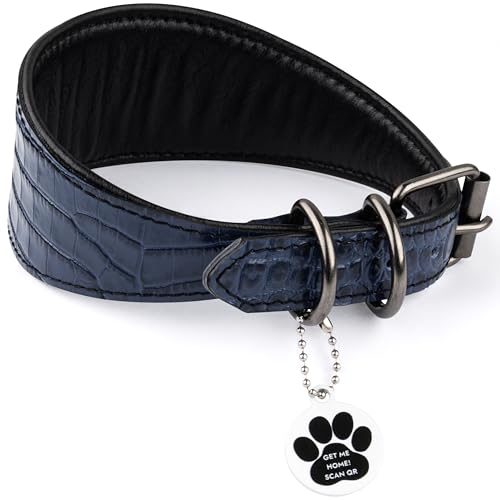 FAVPET Luxus Echtleder Windhund Halsband Breit mit QR Code Anhänger, Weiches Lederhalsband Hund Breit Whippet Italienisches Windspiel Saluki Lurcher Spanischer Galgo Greyhound Podenco (Blau, L) von FAVPET